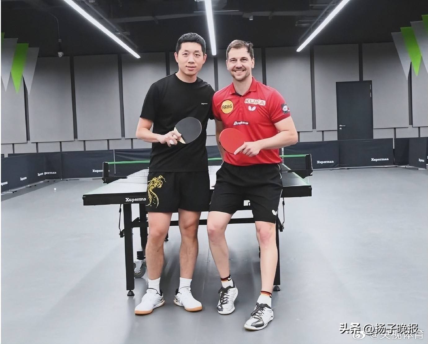 法国乒乓球队完胜德国乒乓球队,波尔一己之力扛起全队 法国乒乓球队完胜德国乒乓球队,波尔一己之力扛起全队