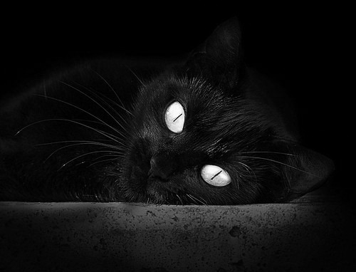 超级进化!字母哥暴力美学撕碎猛龙,篮网三巨头隐身背后藏新王?